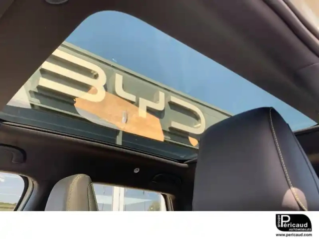 Byd Atto 2 45.1 kwh 177 ch — photo 89