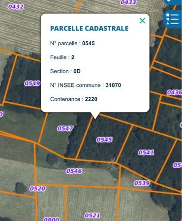 Parcelle de bois chênes