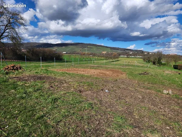 Vente terrain 615 m² - Dorlisheim