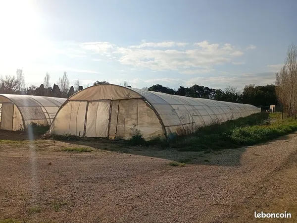 Terrain agricole de 2 ha avec serres, chambre froide, matériel