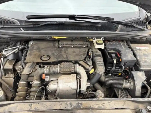 Citroën C4 bluehdi 110 s&amp;s bvm6 live pack business — photo 7