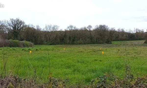 Vente | Terrain constructible | 264 m² | Pizay