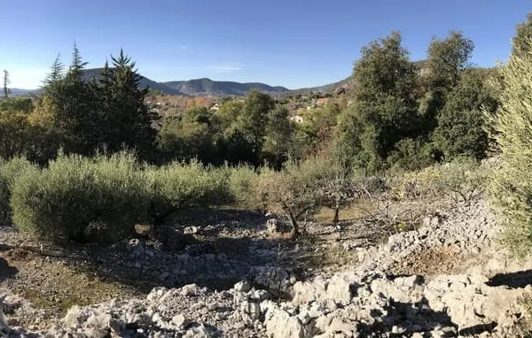 Terrain à bâtir Vente Saint-Hippolyte-du-Fort  2860m² 70000€