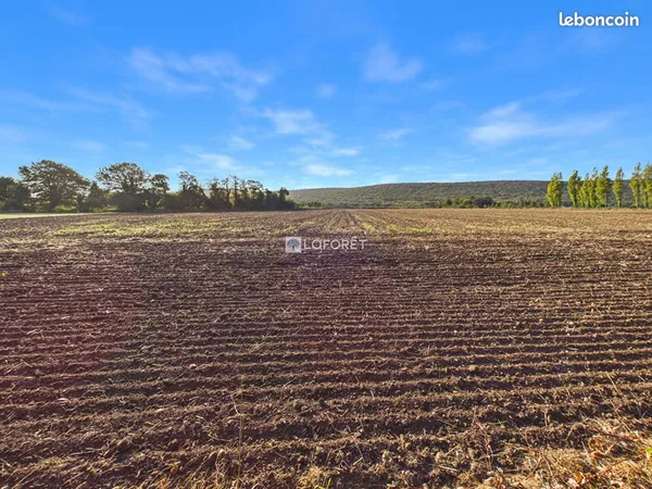 Terrain 23000 m² QUEMENEVEN