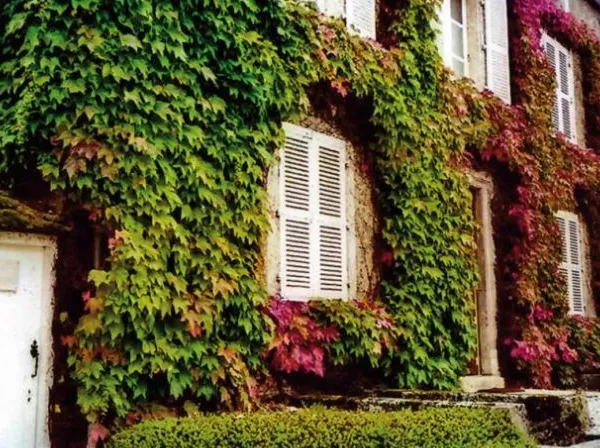 Vends Maison de Maître en Bourgogne