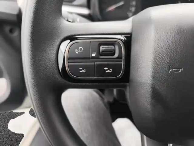 Citroën C3 bluehdi 100 ch bvm6 plus — photo 19