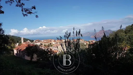Terrain 751 m²