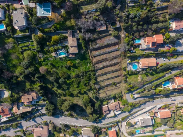 Terrain 3963 m²