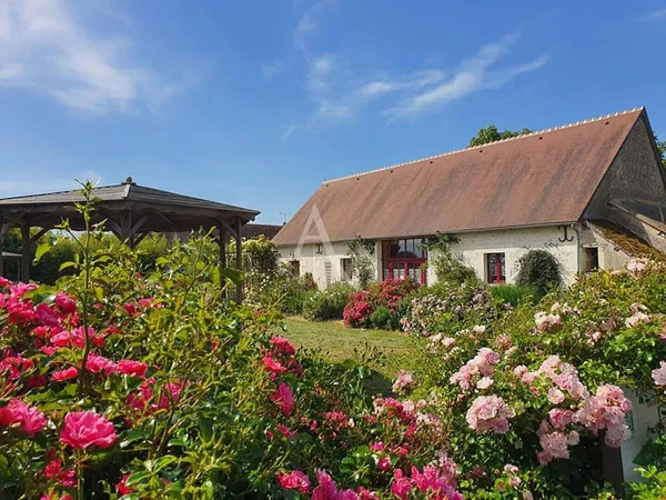 Local commercial 257 m²