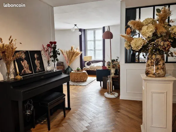 Appartement renové 90m2 au coeur de Saint Vit
