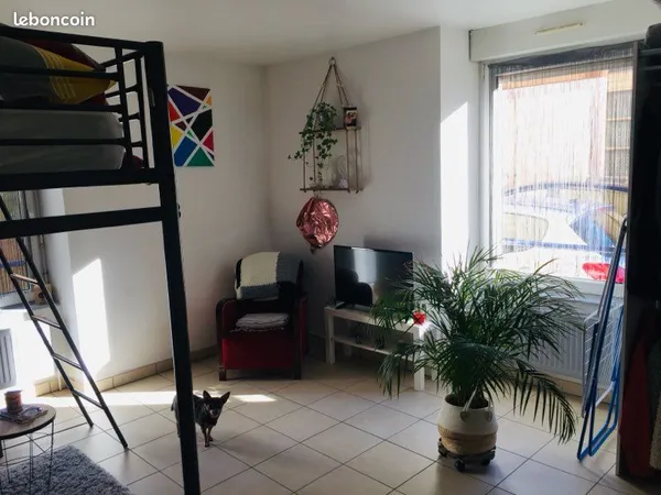 Appartement Belfort centre