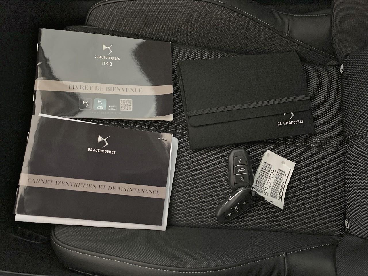 Ds Ds 3 e-tense pallas — photo 13