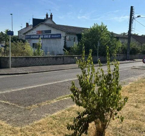 Local 300 m²