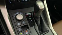 Lexus Nx 300h 4WD Luxe Euro6d-T — photo 29