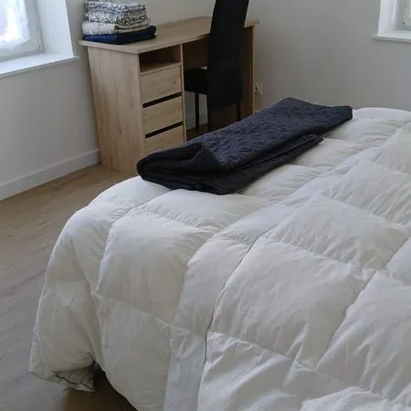 Chambre étudiante chez retraité pour Étudiante à Nancy