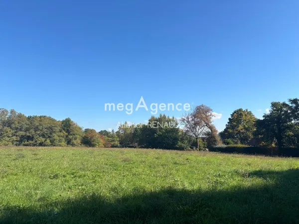 Terrain à bâtir à ST LEON SUR VEZERE - 24 541 m²