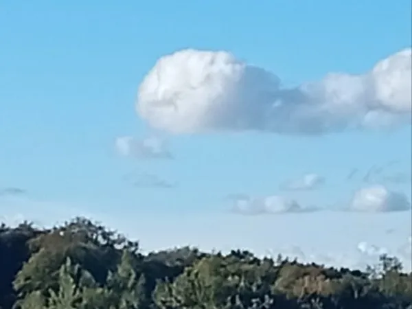 Terrain a bâtir