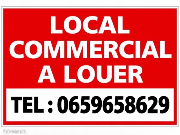 À louer : local professionnel 350 m² + terrain 700 m² - Idéal garage automobile - 1500e