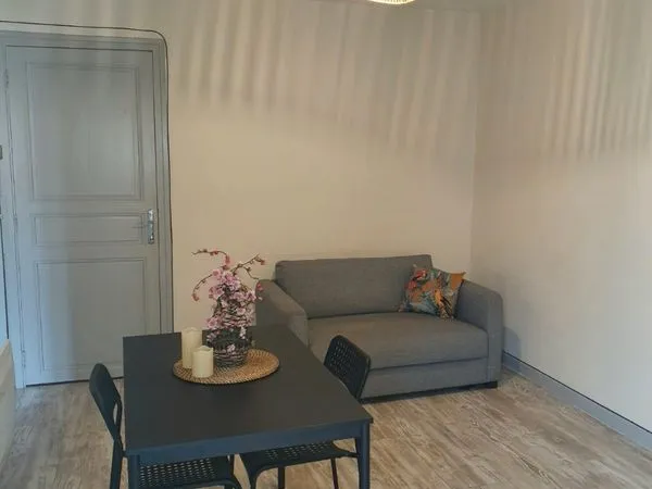 T2 meublé 33 m² avec terrasse - Centre-ville