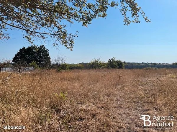 Terrain 751 m² SAINT HILAIRE DE RIEZ