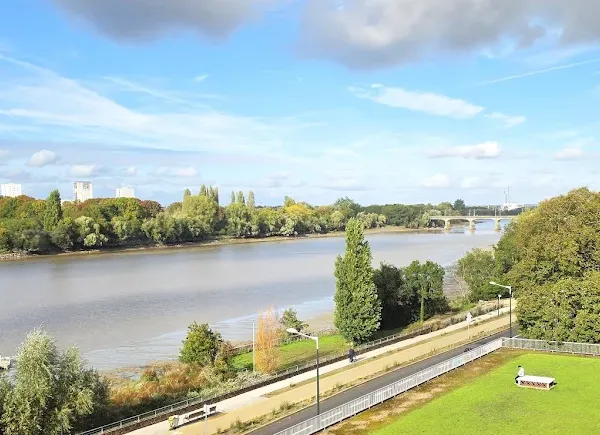 Viager 4 pièces 79 m²