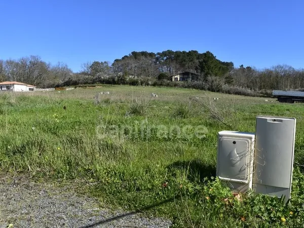 RARE Terrain de 1000 m² CURSAN (CREON)