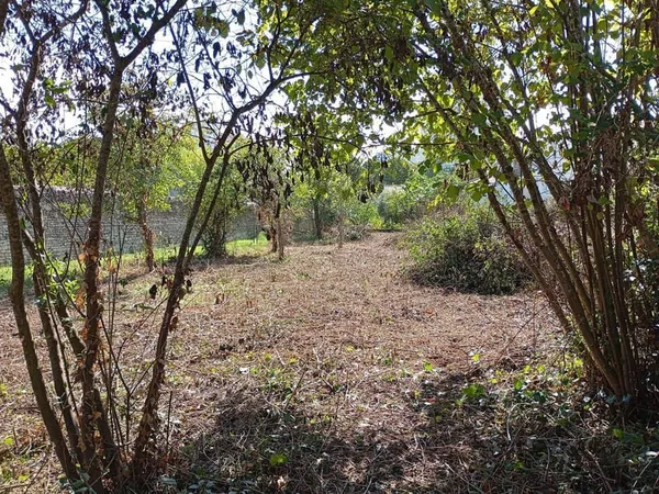 Terrain constructible 1185 m²