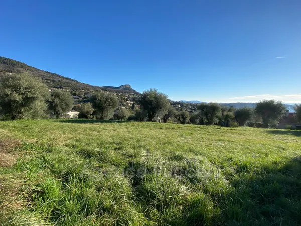 Terrain 1001 m²