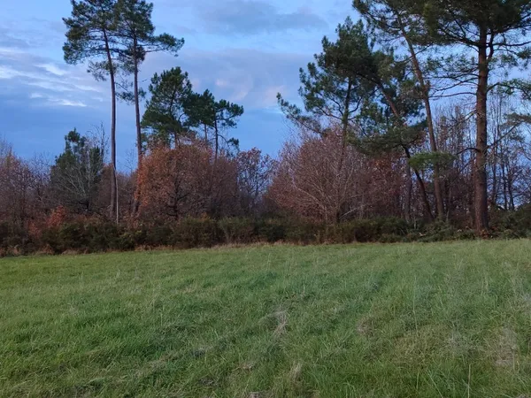 Beau Terrain Ã  bÃ¢tir de 1 172 mÂ² avec vue dÃ©gagÃ©e, bornÃ©, prÃ©voi