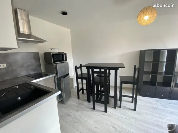 Appartement 1 pièce 20 m²