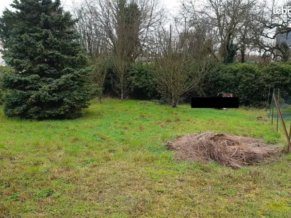 Terrain non viabilisé