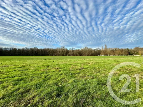 Terrain 394 m²