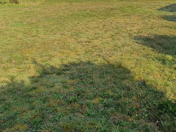 Terrain 700 m² Margaux