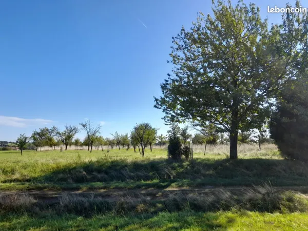 Verger / terrain en pleine nature