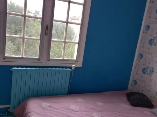 Colocation dans maison et jardin de 100 m2