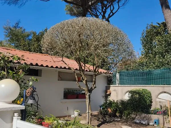 Location 9 mois étudiant à partir de septembre