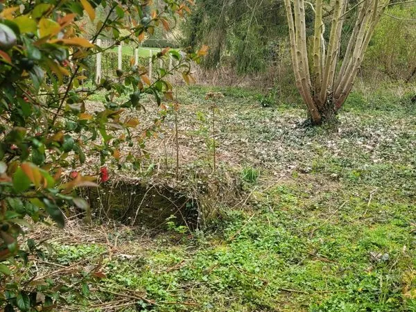 Terrain constructible