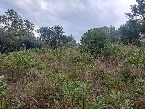 Terrain 880 M2 avec permis de construire