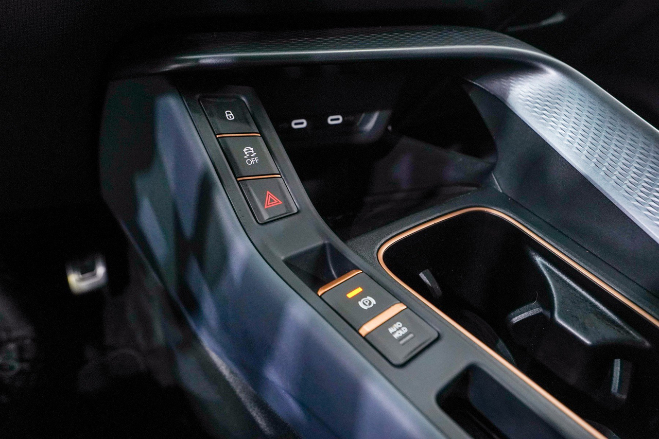 Cupra Terramar — photo 25