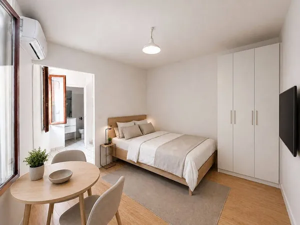 Appartement 1 pièce 19 m²