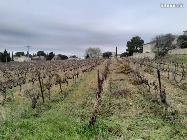 Terrain 340 m² Vacqueyras