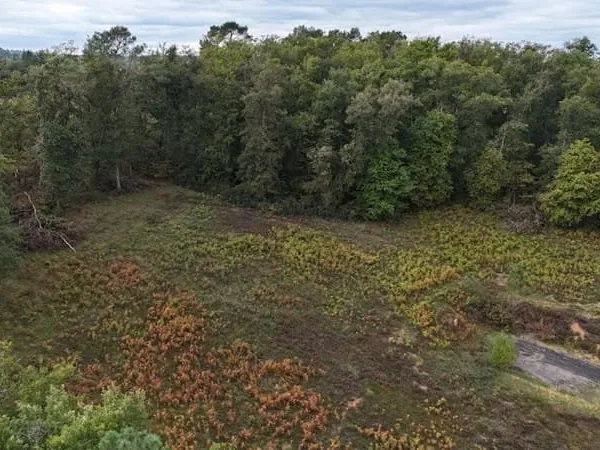 Terrain à bâtir Vente Payrignac   34530€