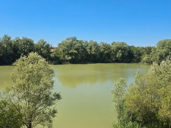 Exceptionnel domaine de 14 hectares avec étangs
