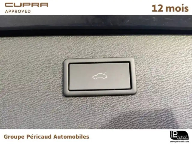 Cupra Formentor 2.0 tdi 150 ch dsg7 — photo 31