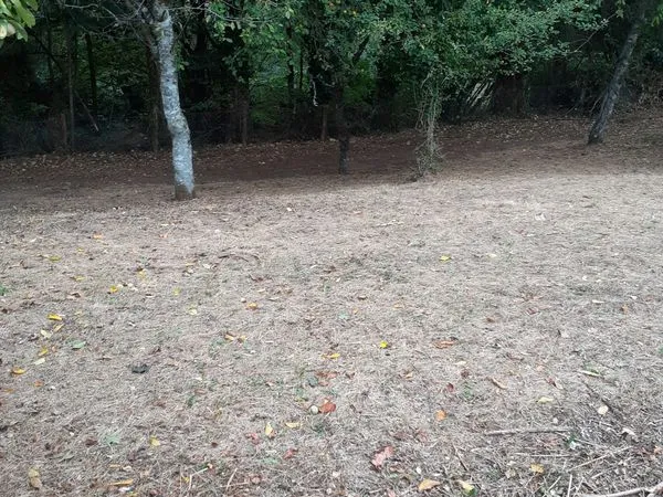 Terrain constructible