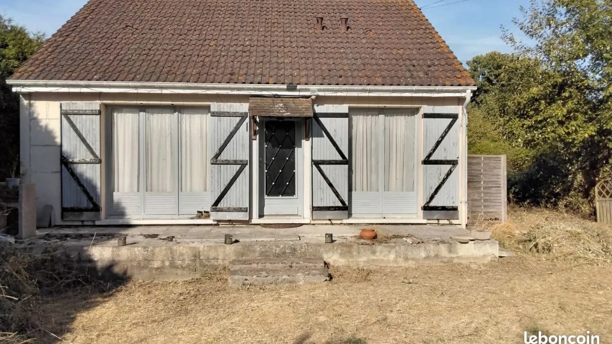 Photo 1
