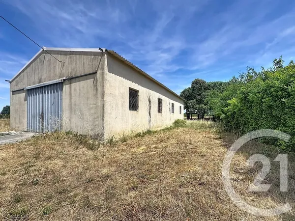 Local 187 m²