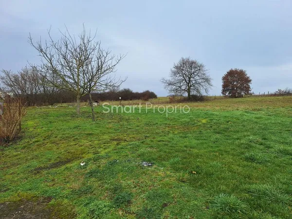 Terrain constructible 4502 m²