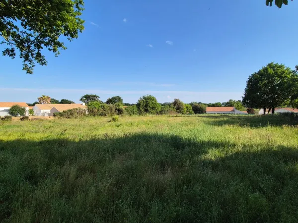 Terrain 3780 m²