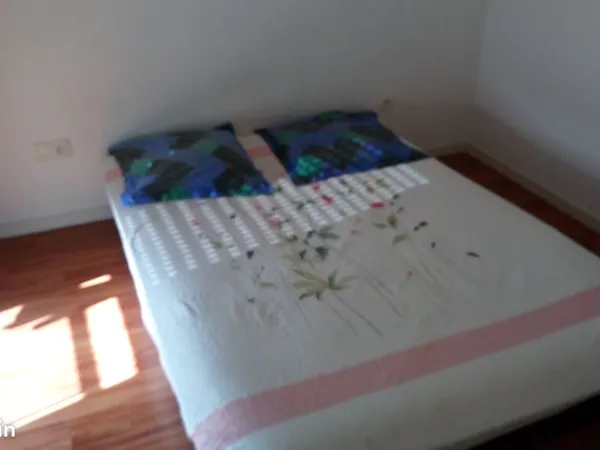 Colocation chambre